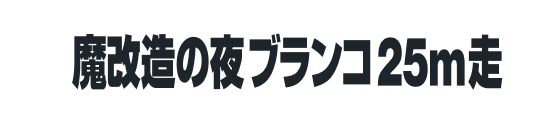 魔改造の夜 ブランコ25m走