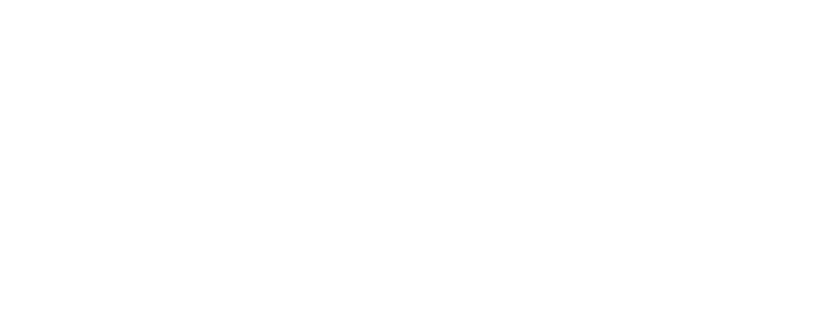 狂気の音を轟かせブランコが走り抜ける