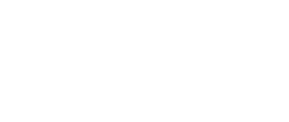 夜空を翔る彗星の如くスリッパが跳ぶ