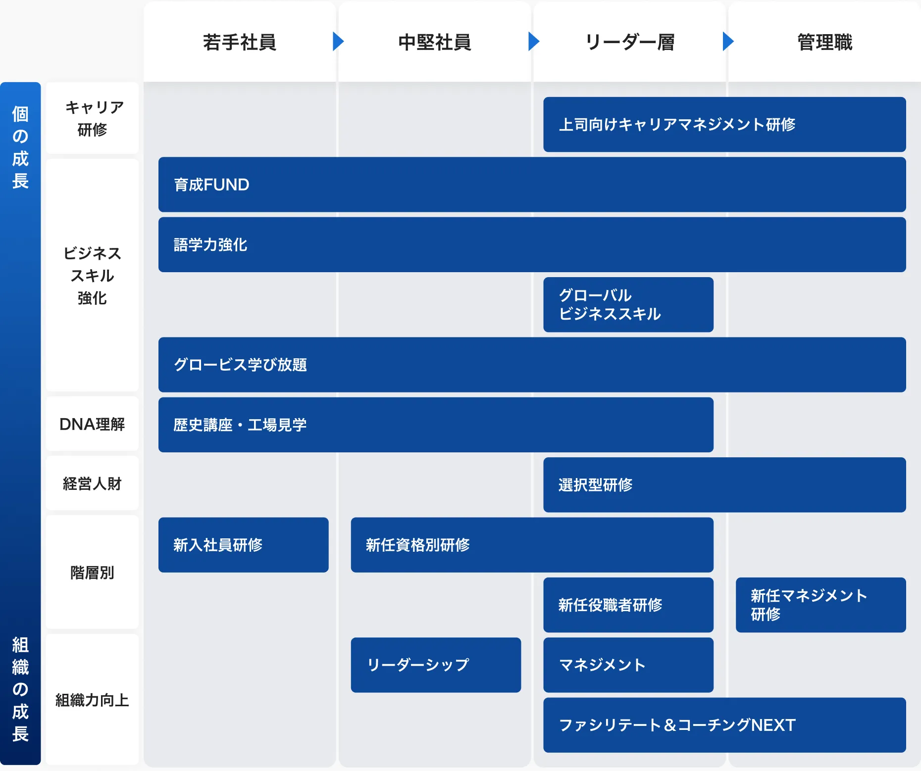 教育体系を示した図