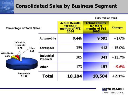 Consolidated Sales by Business Segment