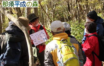 日光国立公園　那須平成の森（インタープリターの活動風景）