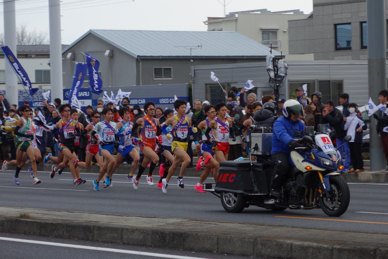 DSC02175 (1280x853)