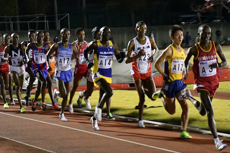 八王子LDロロット①