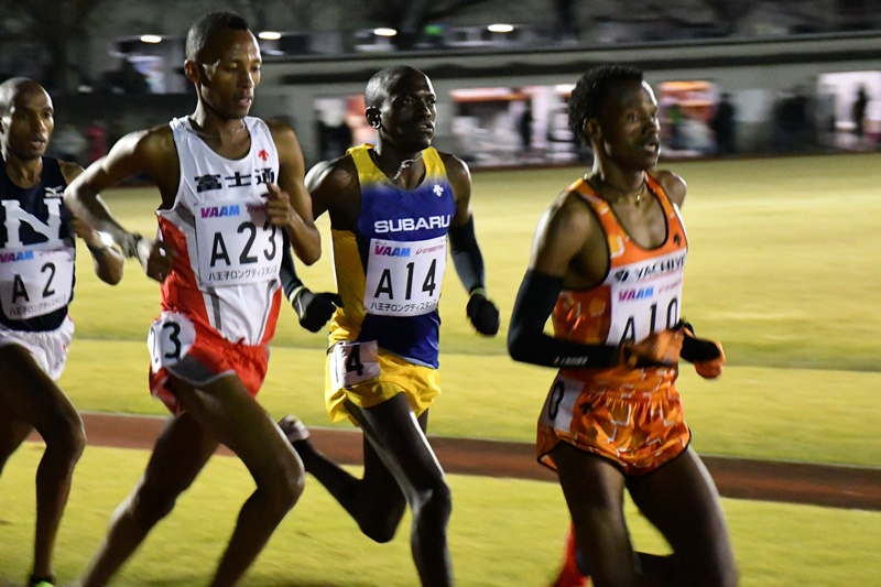 八王子LDロロット②