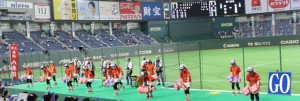 東京ドームを太田に染めた <p id=