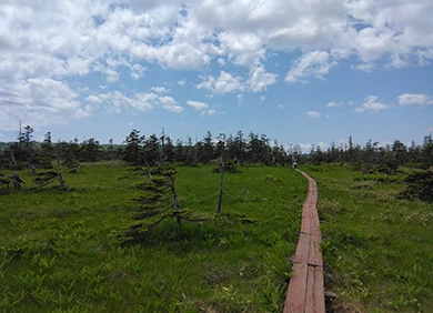松山湿原（北海道中川郡美深町）