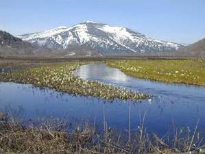 尾瀬国立公園（群馬県）