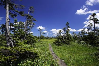 松山湿原（北海道美深町）