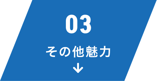 その他魅力