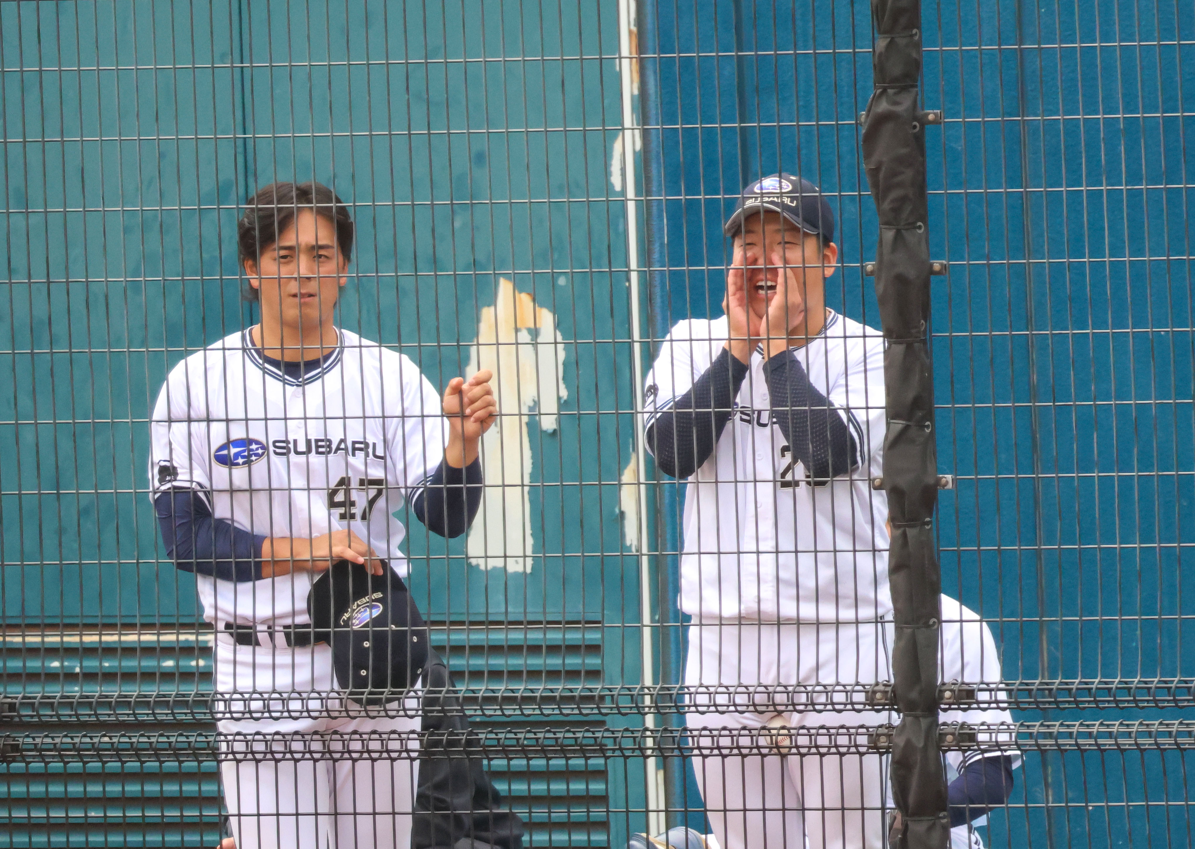 ブルペンから声を送る阿部博光投手と三浦克暉投手